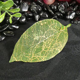 Silver Plated Leaf Pendant (various)