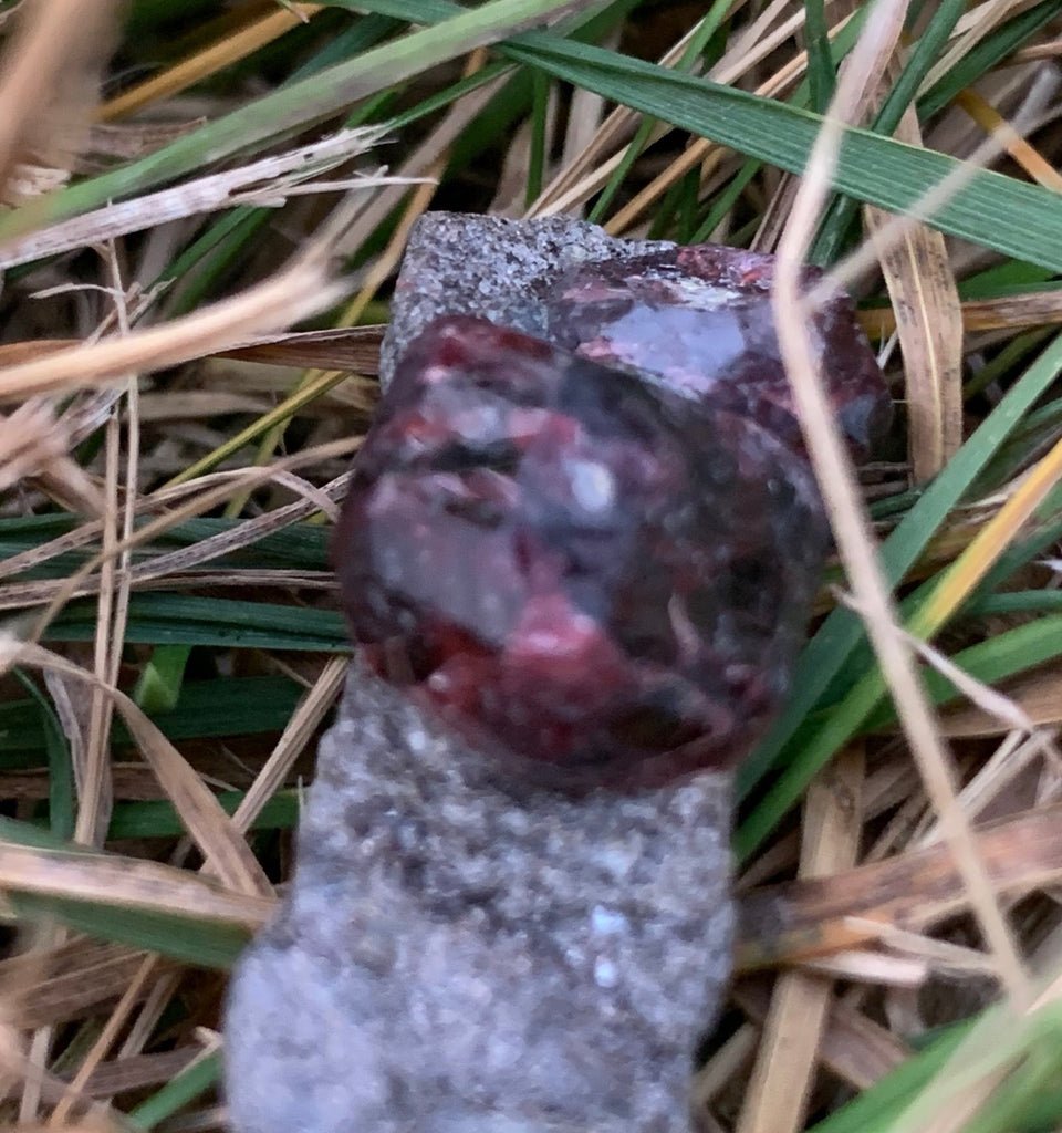 Garnets on matrix #garnet #garnetspecimen...