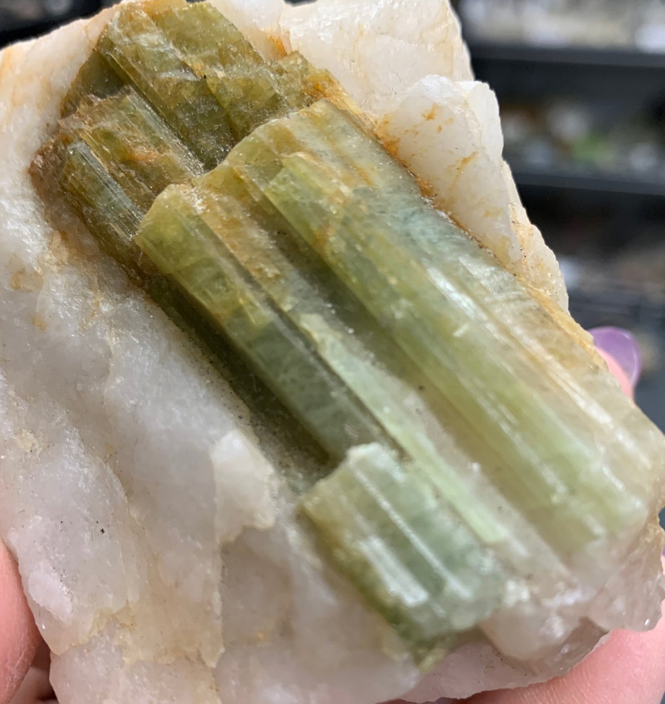 Aquarium Crystal in Quartz Matrix
Origin:...