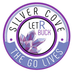 Silver Cove Provides the Ultimate Go-Live Experience