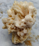 Mangano Calcite Specimen
