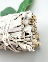 White Sage Bundles