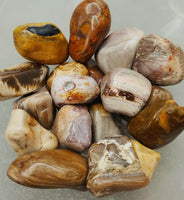 Tumbled Petrified Wood