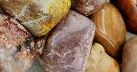 Tumbled Petrified Wood
