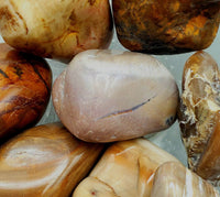 Tumbled Petrified Wood