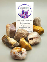 Tumbled Petrified Wood