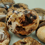 Petrified Wood Heart Carvings