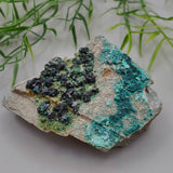 Libethenite Specimen