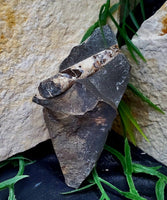 Scaphite Fossil