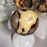Septarian Nodule Sphere