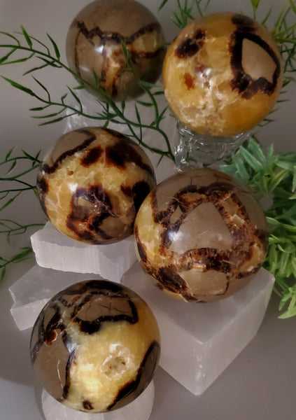 Septarian Nodule Sphere