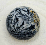 Pinolith Sphere