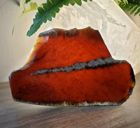 Amber slab