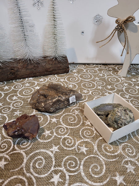 15425 February 5th Live