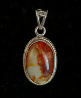Petrified Wood Pendant (.925 Sterling Silver)