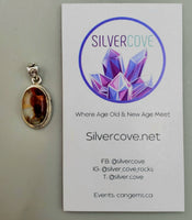 Petrified Wood Pendant (.925 Sterling Silver)