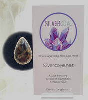 Canadian Staurolite And Garnet Ring in .925 Sterling Silver (size 6.75)