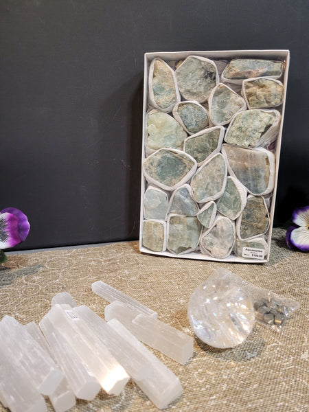 15956 May 12th 2025 Live