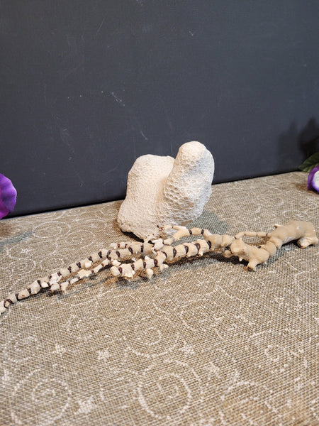 15809 May 15th 2025 Live