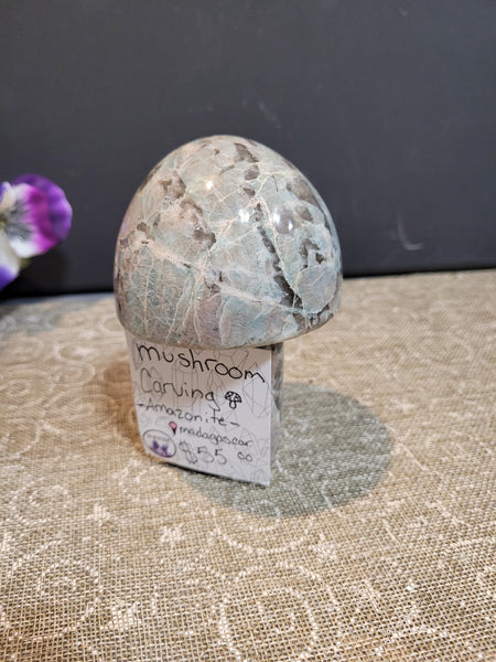 16268  May 16th 2025 Live