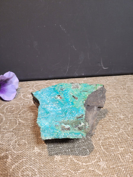 kylabird09 May 21st 2025 Live