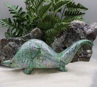Abalone Shell Character