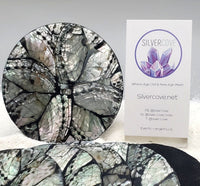 Indonesian Shell Coaster Set