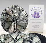 Indonesian Shell Coaster Set
