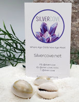 Indonesian Sea Shell (Cypraea)