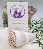 Indonesian Sea Shell (Conus Magus L)