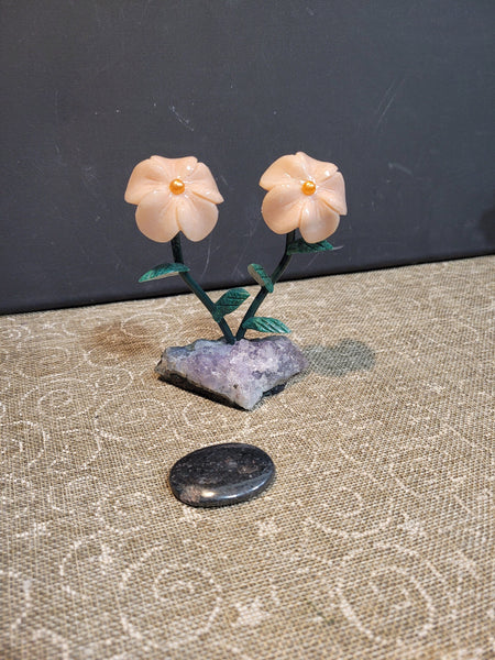 16343 May 31st 2025 Live