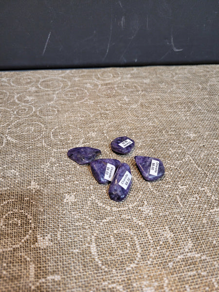 15956 June 7th 2025 Live