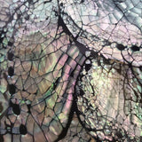 Abalone Shell, Charging Plate