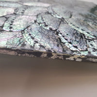 Abalone Shell, Charging Plate