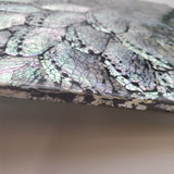 Abalone Shell, Charging Plate