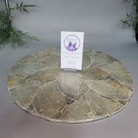 Abalone Shell, Charging Plate