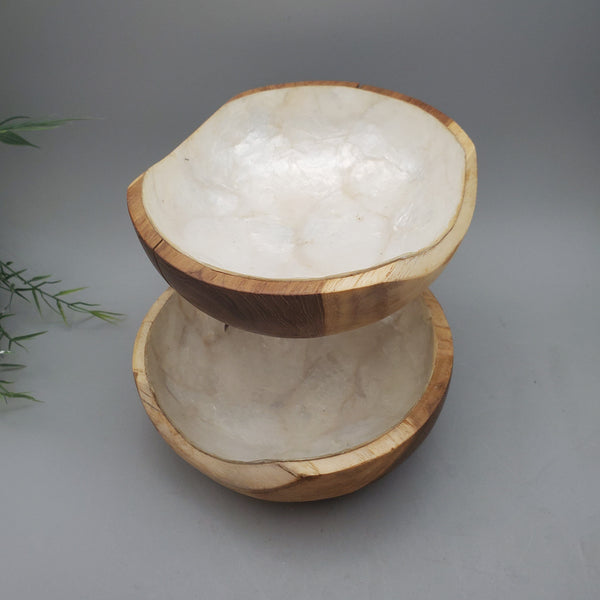 Decorative Abalone Shell and Wood Bowl