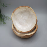 Decorative Abalone Shell and Wood Bowl