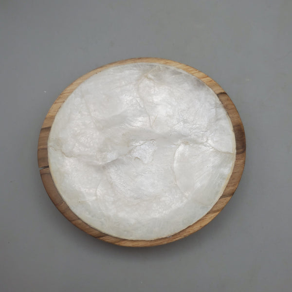Decorative Abalone Shell and Wood Dish