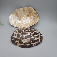Decorative Abalone Shell and Wood Dish