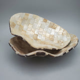 Decorative Abalone Shell and Wood Dish