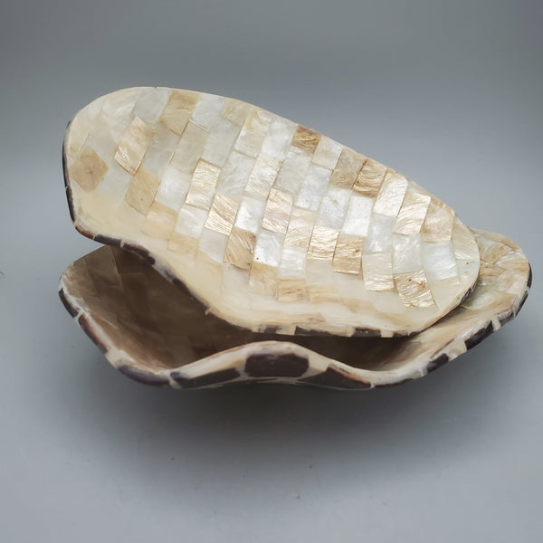 Decorative Abalone Shell and Wood Dish