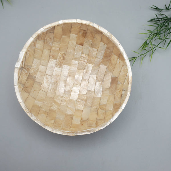 Decorative Abalone Shell and Wood Dish
