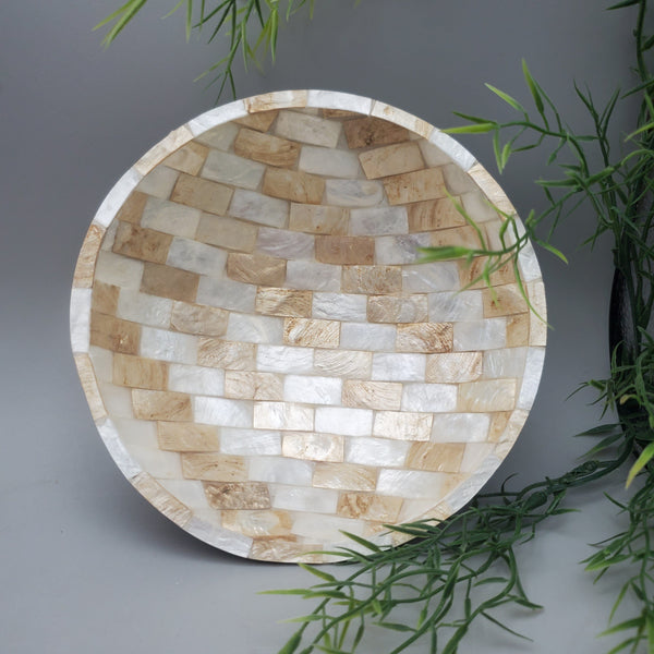 Decorative Abalone Shell and Wood Dish