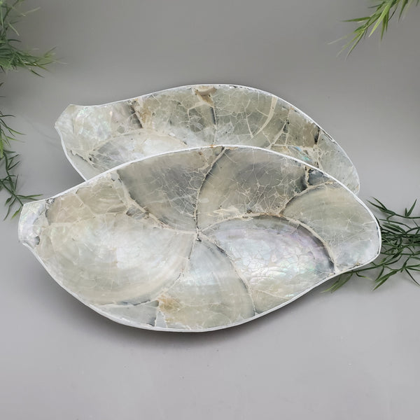 Decorative Abalone Shell and Wood Dish