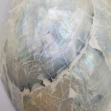 Decorative Abalone Shell and Wood Dish