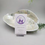 Decorative Abalone Shell and Wood Dish