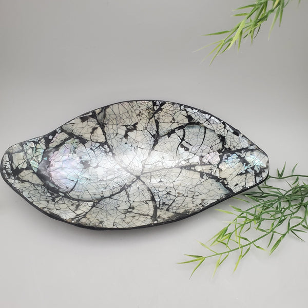 Decorative Abalone Shell