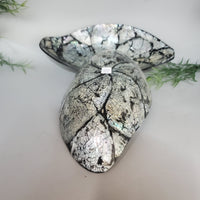Decorative Abalone Shell