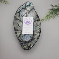 Decorative Abalone Shell